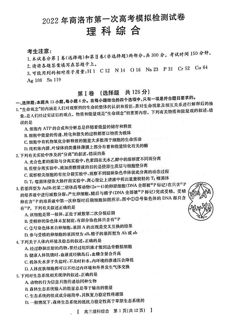 理科综合试题第1页