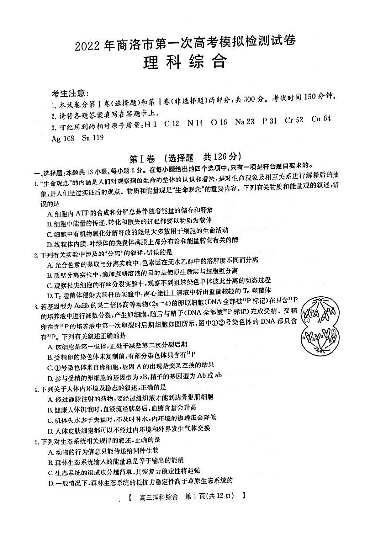 陕西省商洛市2022年第一次高考模拟测试卷及答案——理综01