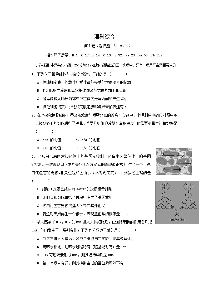 2020届甘肃省武威高三二模理综试卷及答案01