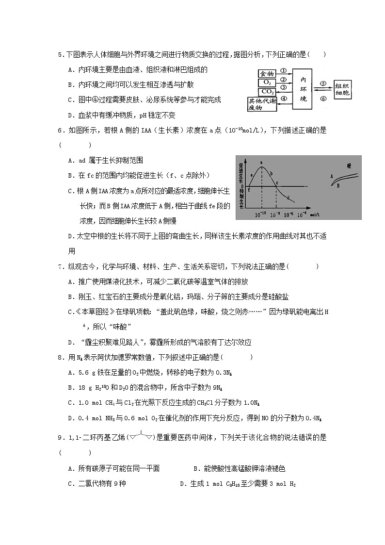 2020届甘肃省武威高三二模理综试卷及答案02