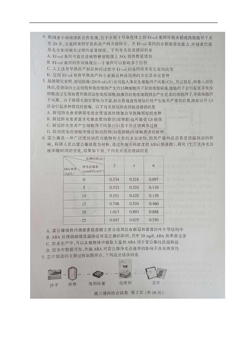 2020届安徽淮北市高三二模理综试卷及解析02