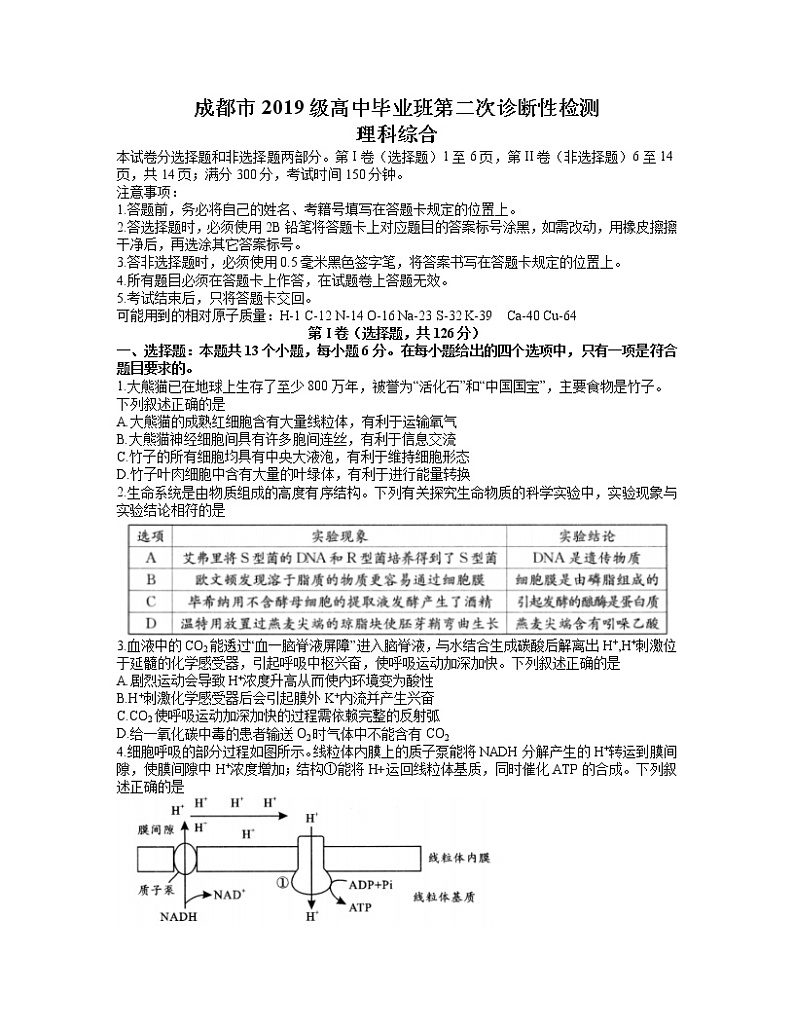 2022成都高三下学期第二次诊断性检测（二模）理综试题含答案01
