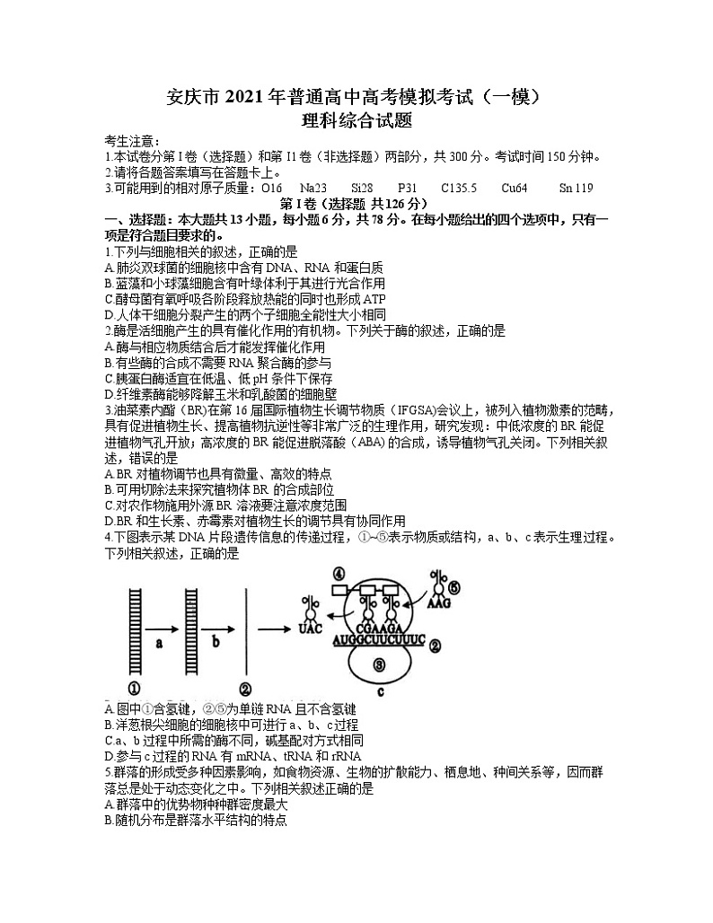 安徽省安庆市2021届高三高考模拟考试（一模）理综试题 含答案第1页