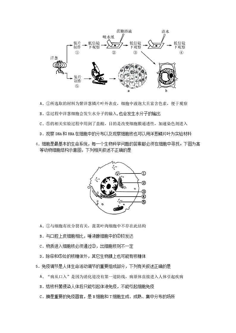 【理综】2021哈三中高三（一模）试卷第2页