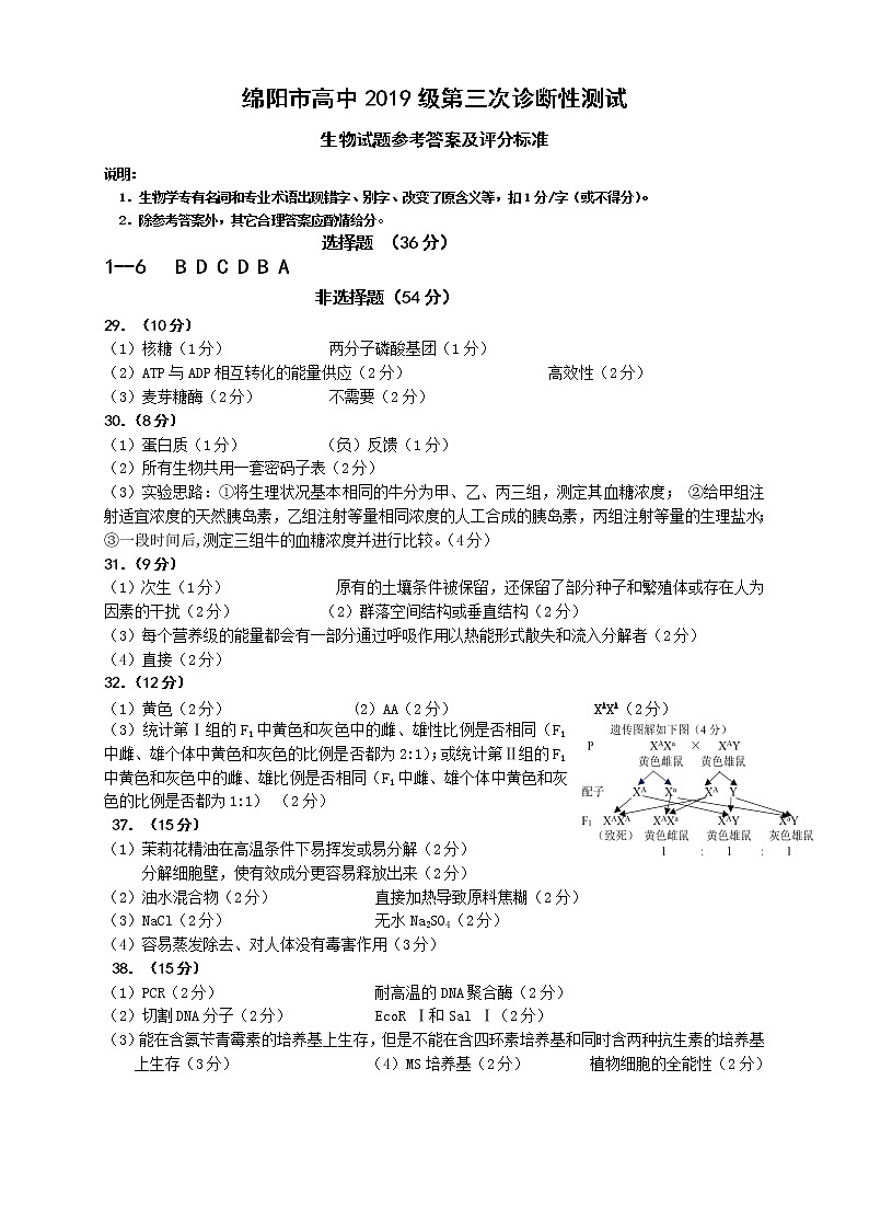 2022绵阳高三下学期第三次诊断性考试理综含答案01