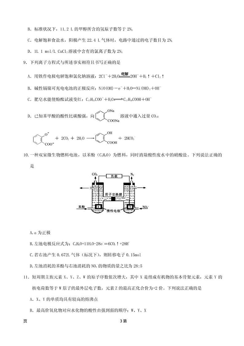 2019届江西省南昌市第二中学高三上学期第四次月考理科综合试题 PDF版第3页
