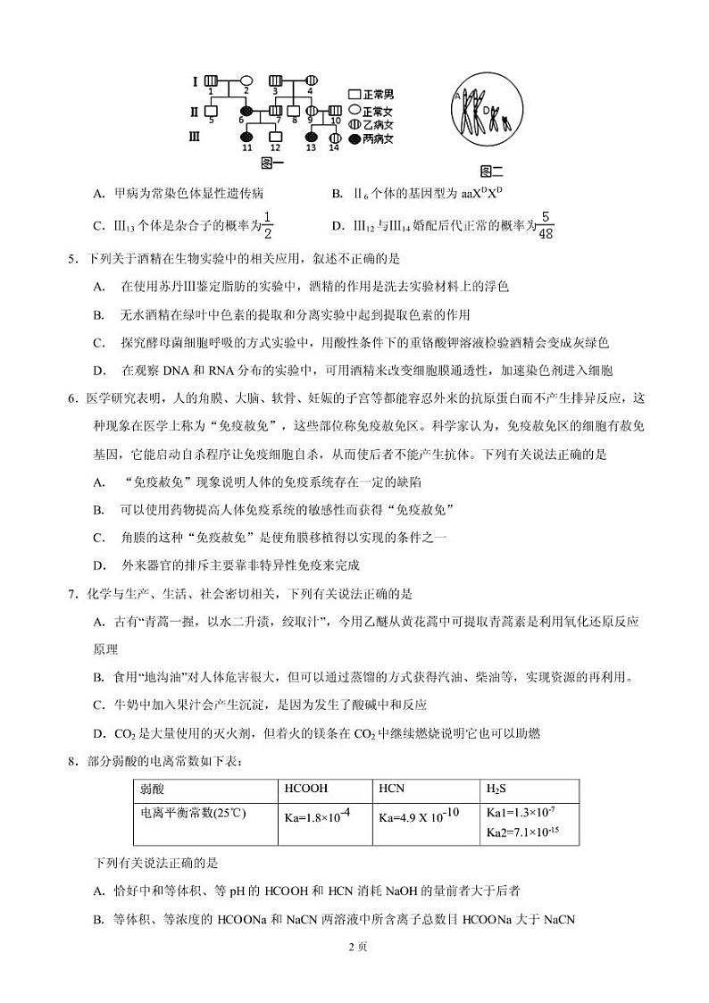 2019届江西省南昌市八一中学高三上学期期末考试理科综合试题（PDF版）02