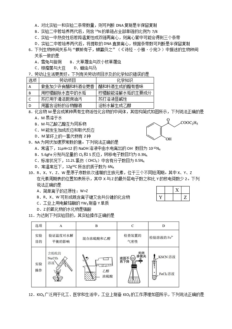 广西南宁市2022届高三下学期二模考试理综试题第2页