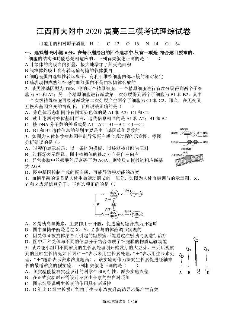 2020届江西省南昌市师大附中高三三模理科综合试题 PDF版01