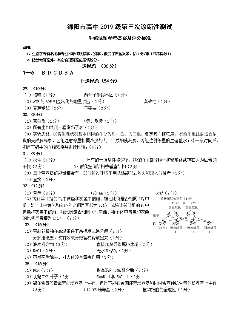2022届四川省绵阳市高三下学期第三次诊断性考试理综试题word版含答案01