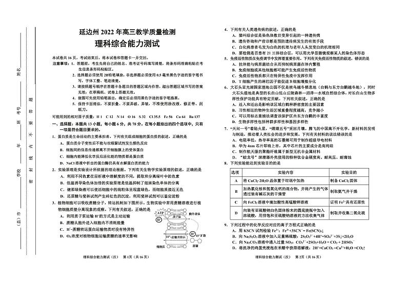 2022届吉林省延边州高三下学期4月教学质量检测（一模）理科综合试题扫描版含答案01