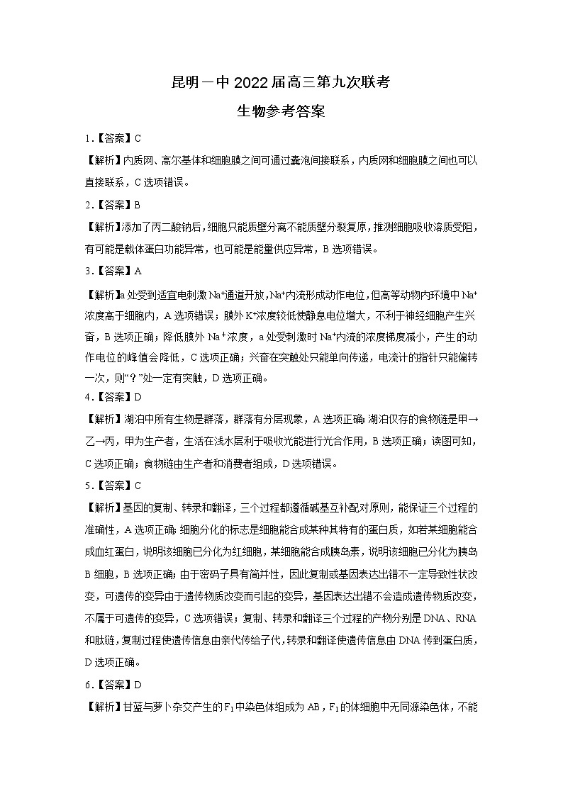 云南省昆明市第一中学2021-2022学年高三第九次考前适应性训练理综试题及答案01