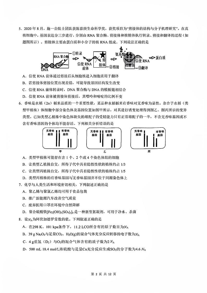 成七三诊理综第2页