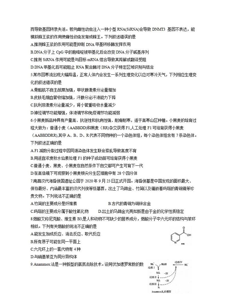 江西省南昌市2021届高三下学期3月第一次模拟考试理综试题 含答案02