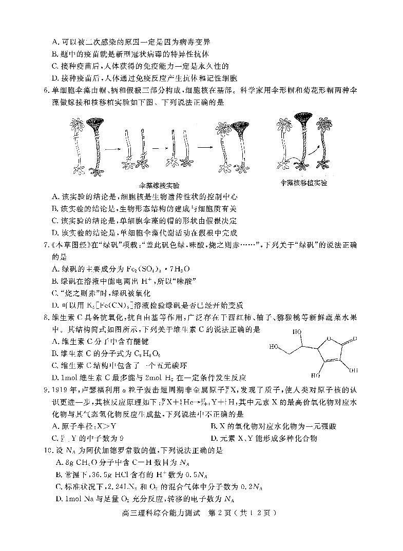 四川省乐山市2021届高三上学期第一次调查研究考试（12月）理科综合试题含答案02