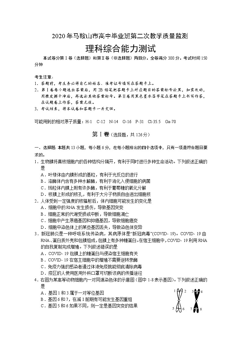 安徽省马鞍山市2020届高三第二次教学质量监测（二模）理科综合试题 Word版含答案01