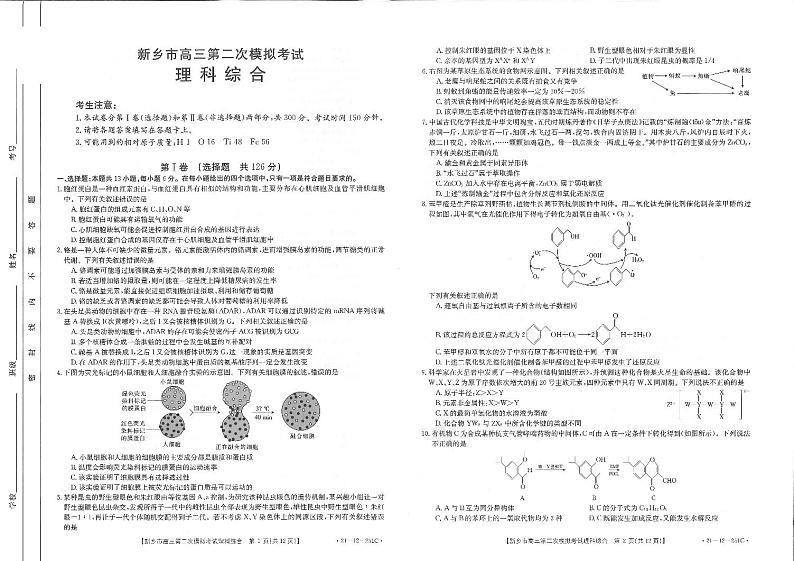 河南省新乡市新乡县第一中学2021届高三二模理综试卷+扫描版含答案01