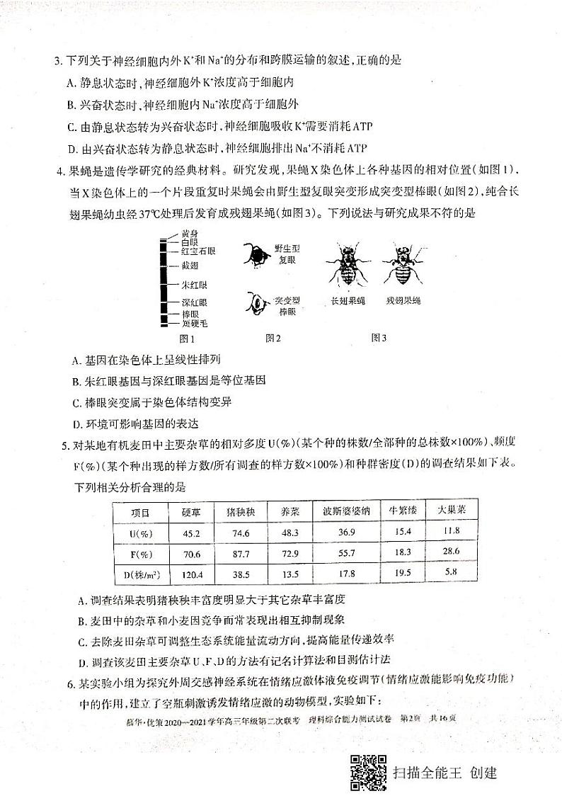 2021届新疆维吾尔自治区高三下学期第二次联考理科综合试题 PDF版02