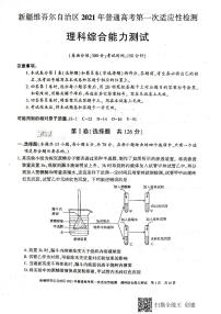 2021届新疆维吾尔自治区高三下学期普通高考第一次适应性检测理科综合试卷 PDF版