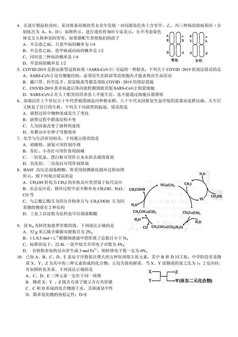 2020届安徽省江淮十校高三第三次联考（5月）理科综合试题 PDF版02