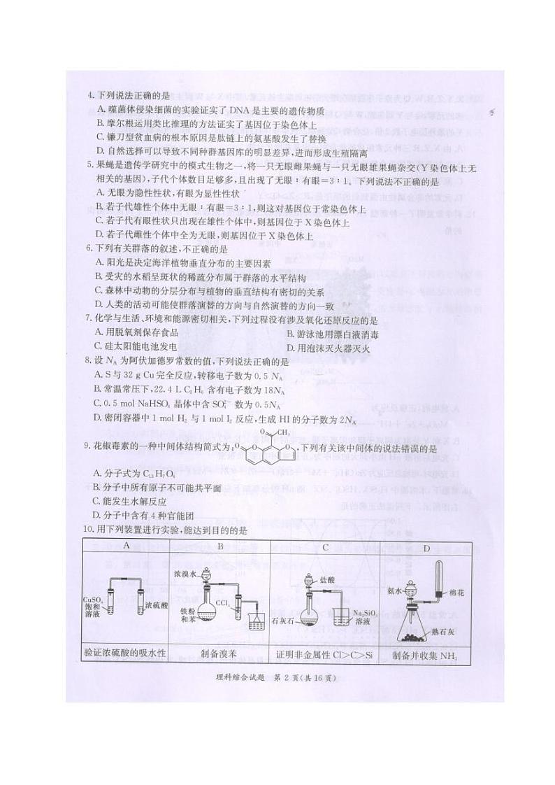 2021届广西桂林、崇左、贺州高三下学期4月联合模拟考试理综试题 PDF版02