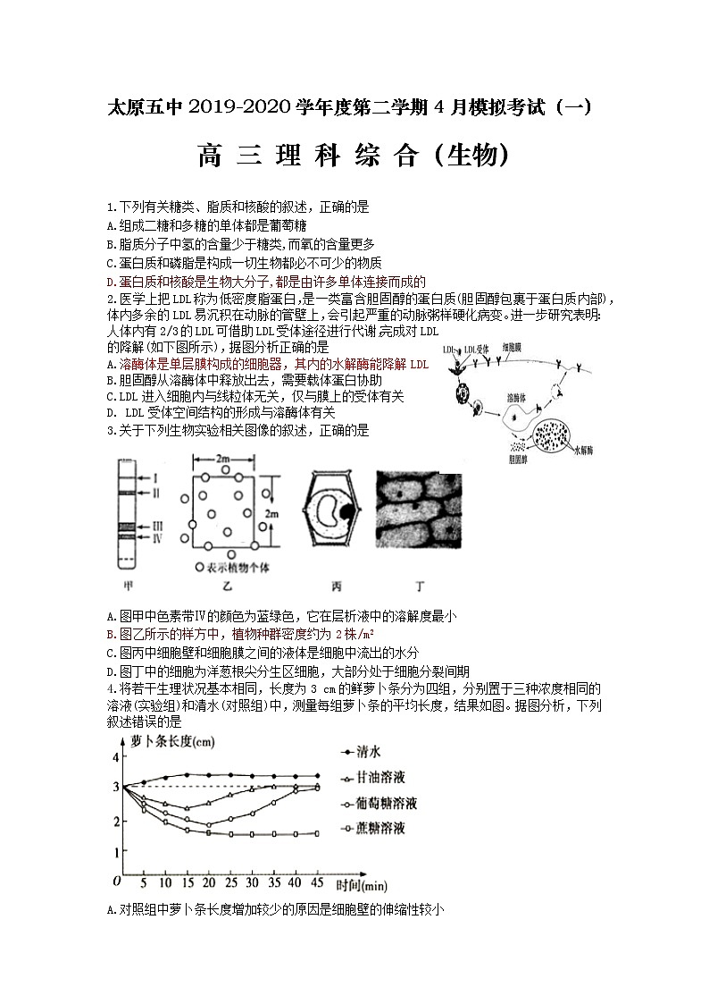 生物试题和答案第1页