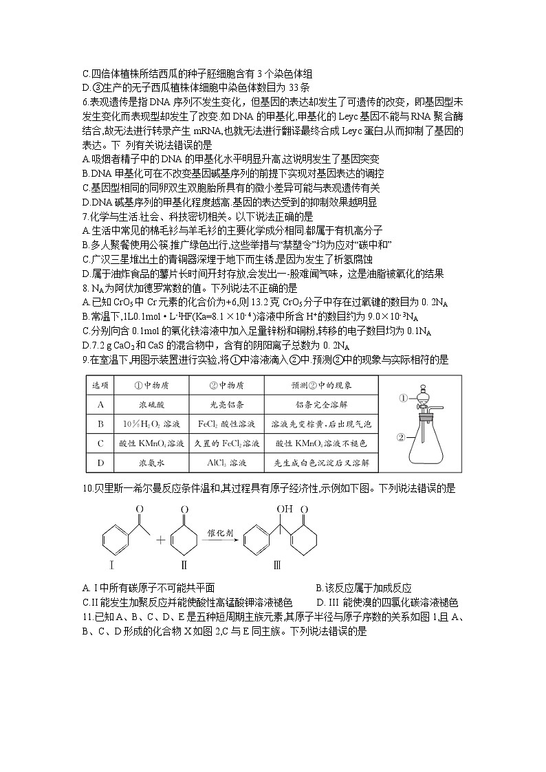 2022届四川省成都市石室中学高三 下学期专家联测卷（五）理综试题02