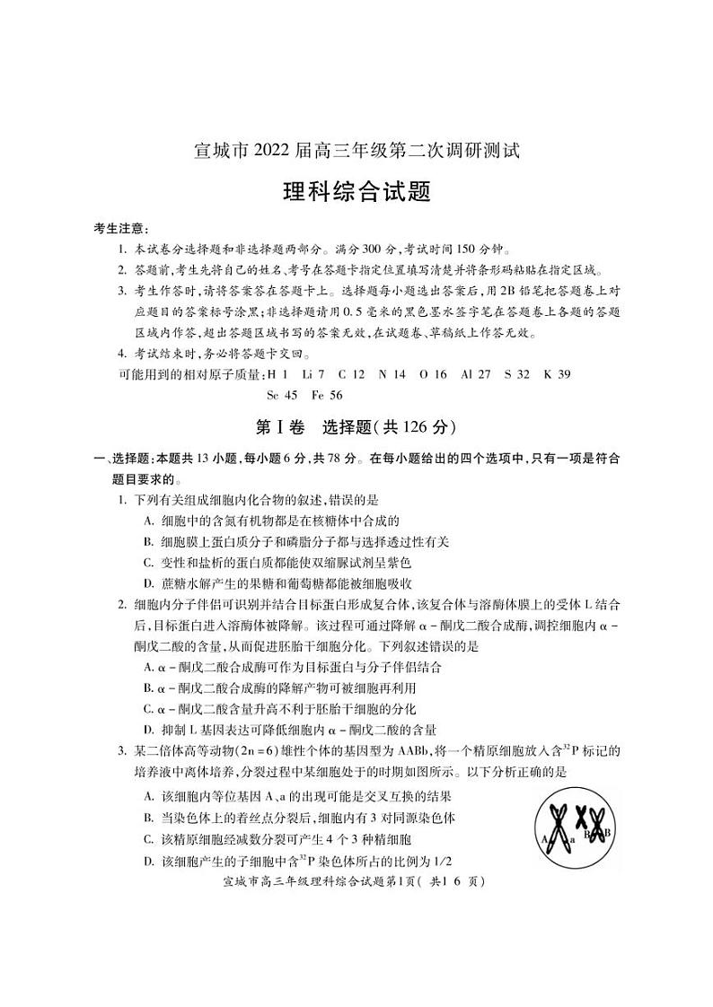 2022届安徽省宣城市高三第二次调研考试理科综合试题（PDF版含答案）01