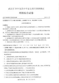 2019届湖北省武汉市高三4月调研测试理科综合试卷 PDF版