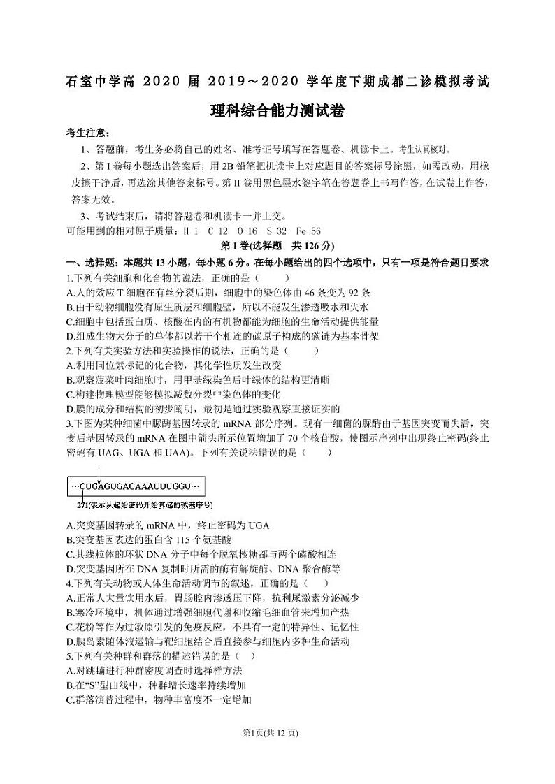 2020届四川省成都市石室中学高三下学期二诊模拟考试理综试题 PDF版01