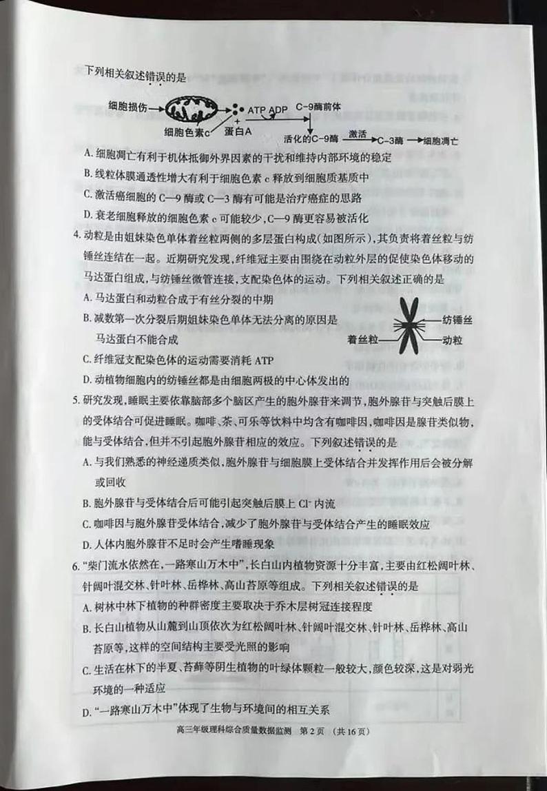2022届内蒙古自治区呼和浩特市高三下学期4月第一次质量数据监测理科综合试题（PDF版含答案）02