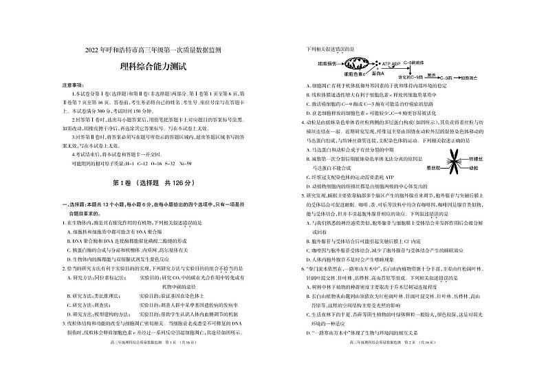 2022届内蒙古呼和浩特市高三年级下学期第一次质量数据监测理科综合试题  PDF01
