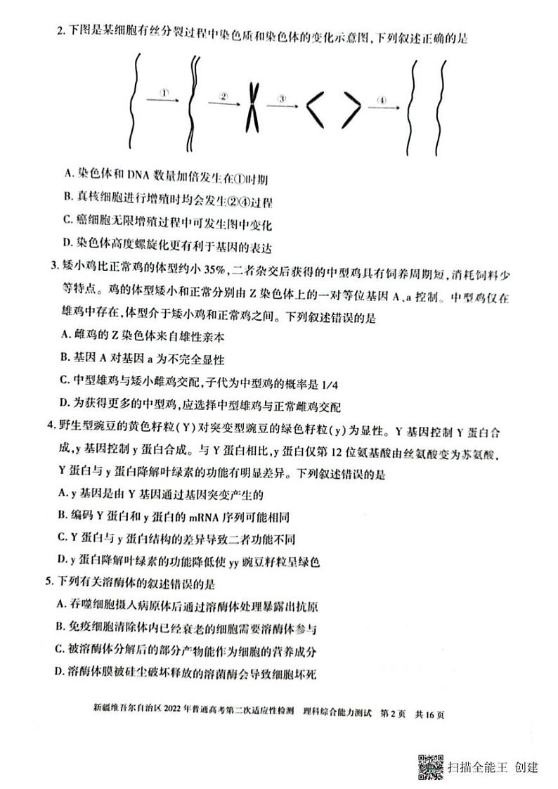 2022届新疆维吾尔自治区普通高考第二次适应性检测理科综合试题（PDF版含答案）02