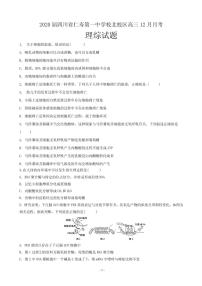 2020届四川省仁寿第一中学校北校区高三12月月考理综试题（PDF版）