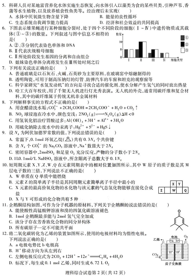 2020届黑龙江省实验中学联盟校高三第三次模拟考试理科综合试题 PDF版02