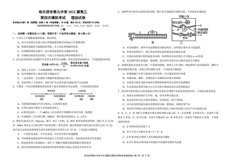 2022年哈尔滨市第九中学高三第四次模拟考试理科综合试卷含答案第1页
