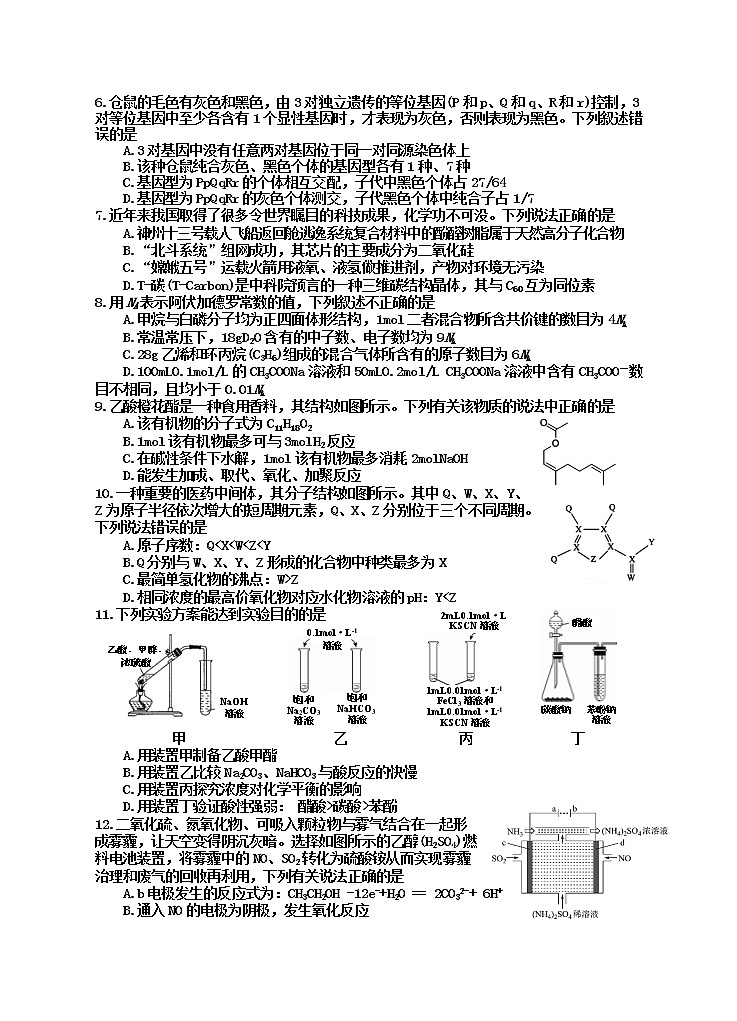 2022届四川省射洪市普通高考模拟测试理综试题（含答案）02