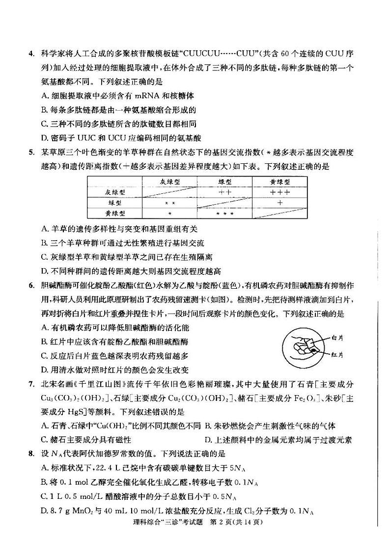 2022年成都市高中毕业班第三次诊断性检测理科综合试题含答案（成都三诊）第2页