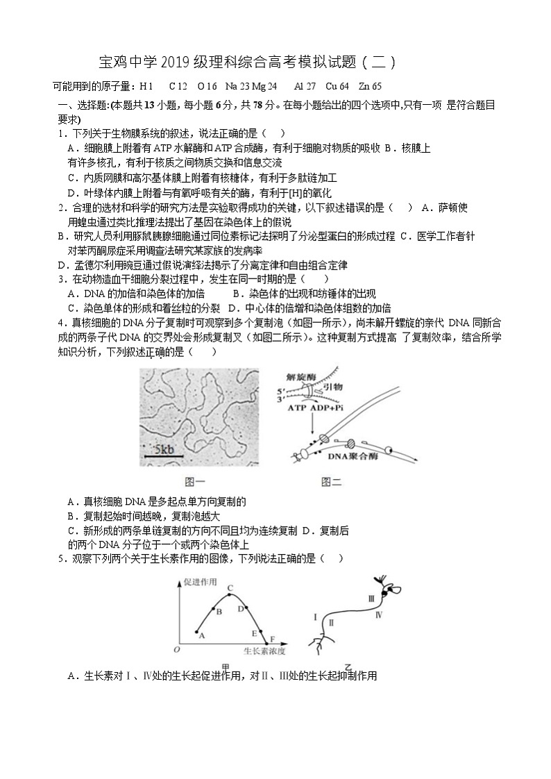 2019级理科综合高考模拟试题（二）第1页