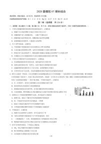 2020届安徽省六安市第一中学高三下学期模拟卷（七）理科综合试题 PDF版