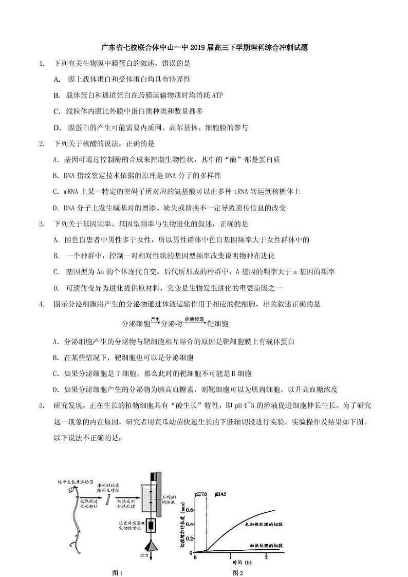 2019届广东省中山一中等七校联合体高三冲刺模拟理科综合试题（PDF版）第1页