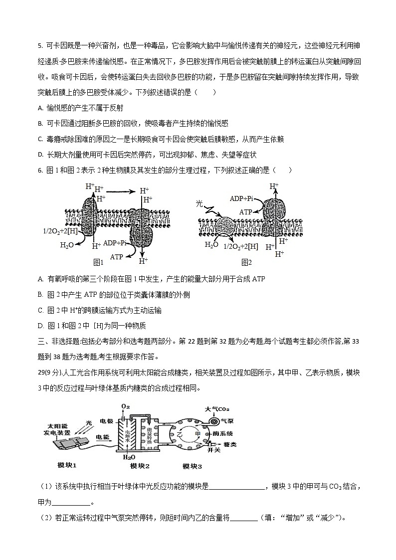 2022届全国高考压轴卷 理综生物（全国乙卷）第2页