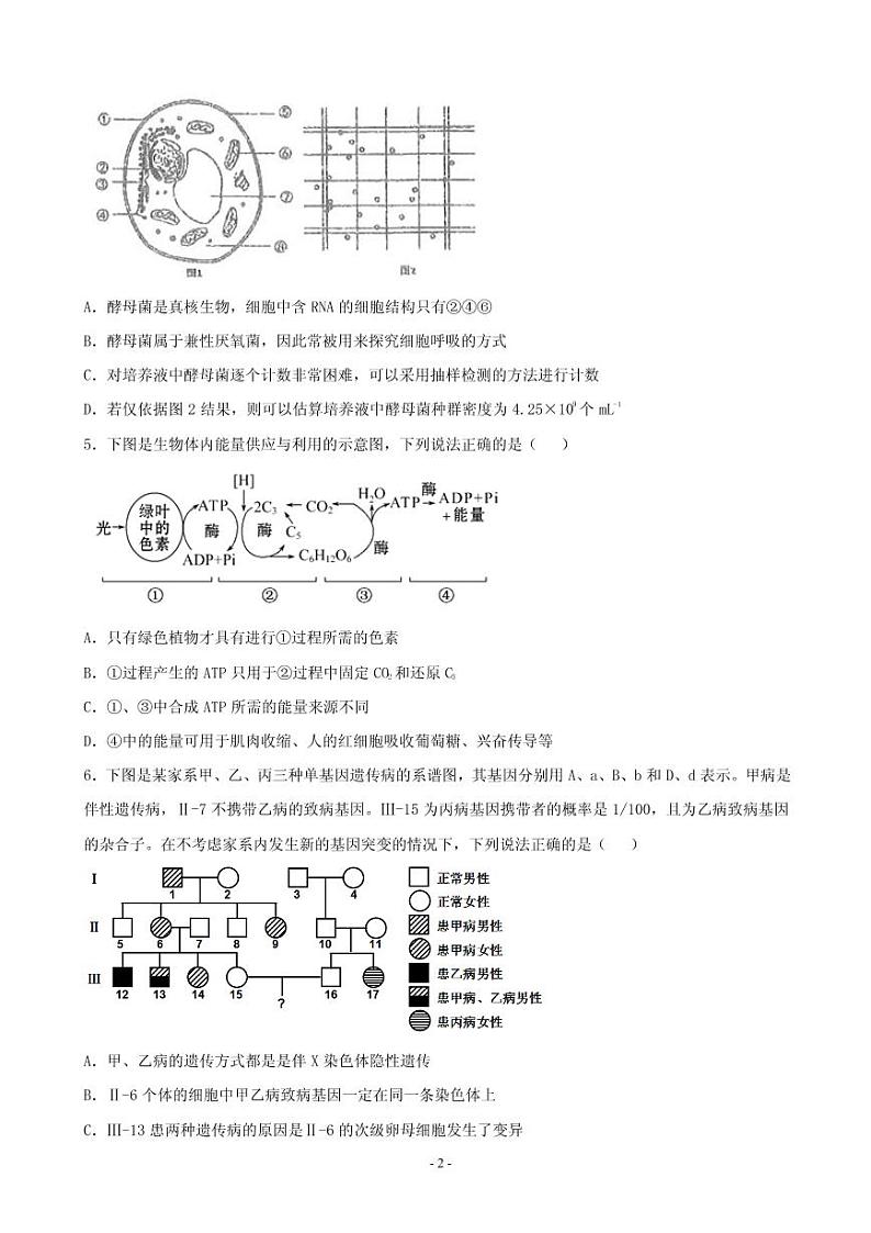 2019届四川省宜宾市第四中学高三高考适应性考试理科综合试题（PDF版）第2页