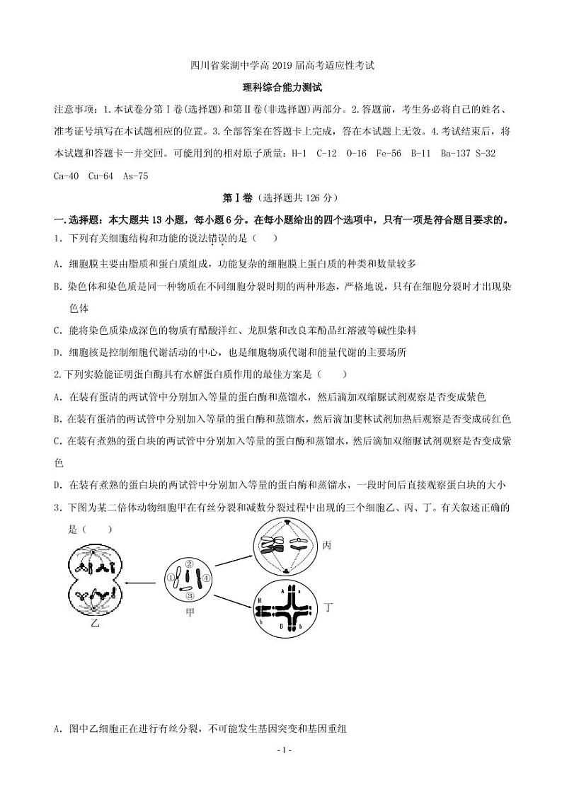 2019届四川省棠湖中学高三高考适应性考试理科综合试题（PDF版）01