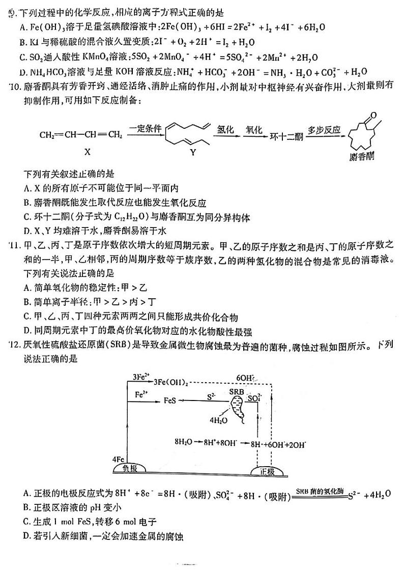 2022届东北三省三校高三第四次模拟联考理综试题及答案第3页
