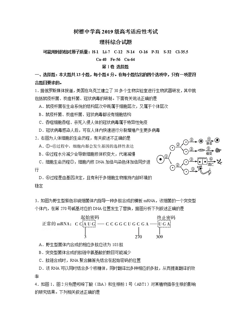 2022成都树德中学高三适应性考试理综含答案01