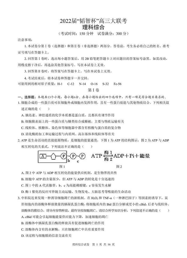 2022 届“韬智杯”高三大联考 理综第1页