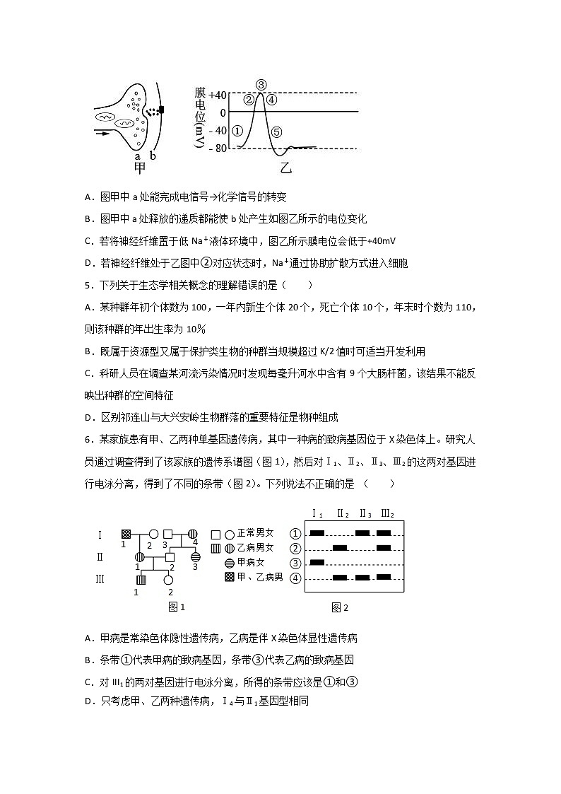 2021甘肃省嘉陵关市一中高三下学期六模考试理综试题含答案第2页