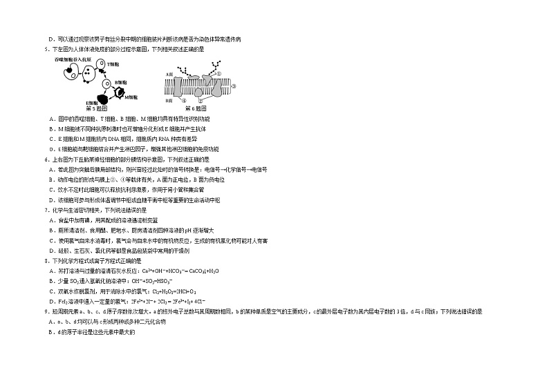 2021南昌实验中学高三2月月考理综试题含答案第2页