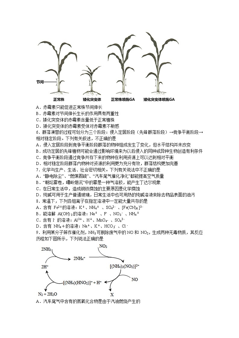2021东北师大附中高三下学期第五次模拟考试理科综合试题含答案第2页